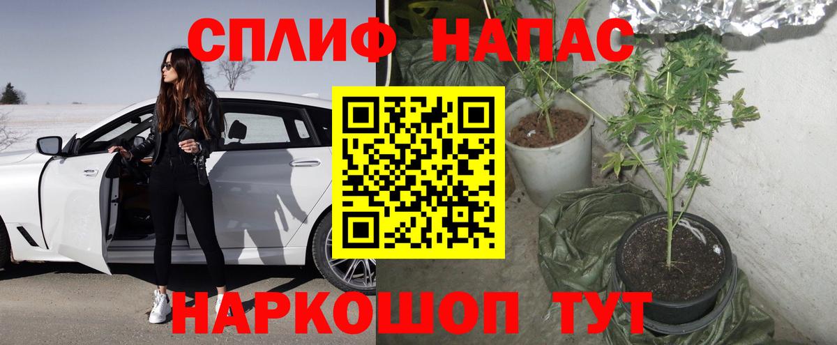 Канабис MAZAR Похвистнево